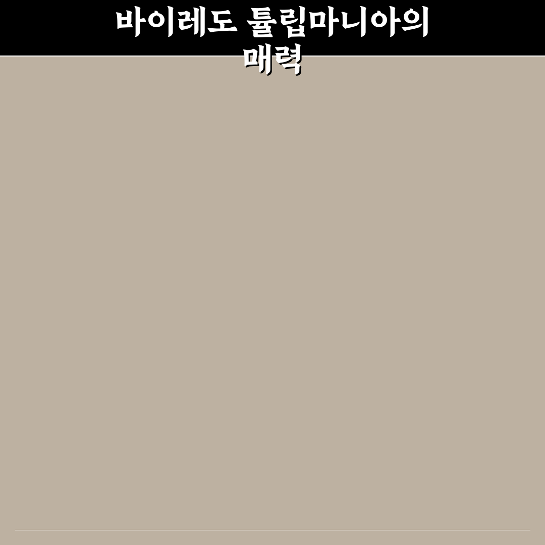 바이레도 튤립마니아 향수 추천과 사용 꿀팁 공유