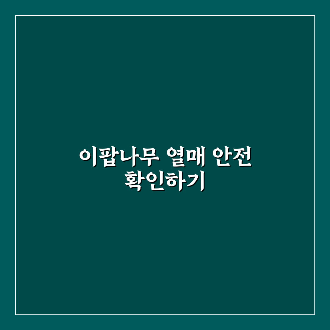 이팝나무 열매 식용 안전성 및 활용 가이드 총정리