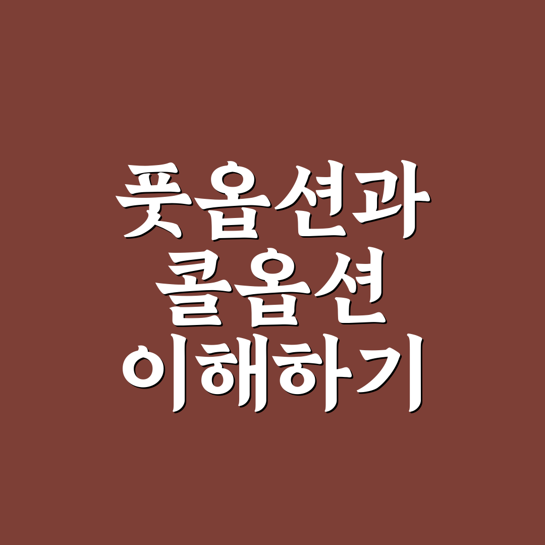 풋옵션 콜옵션 기본 개념과 활용법 정리