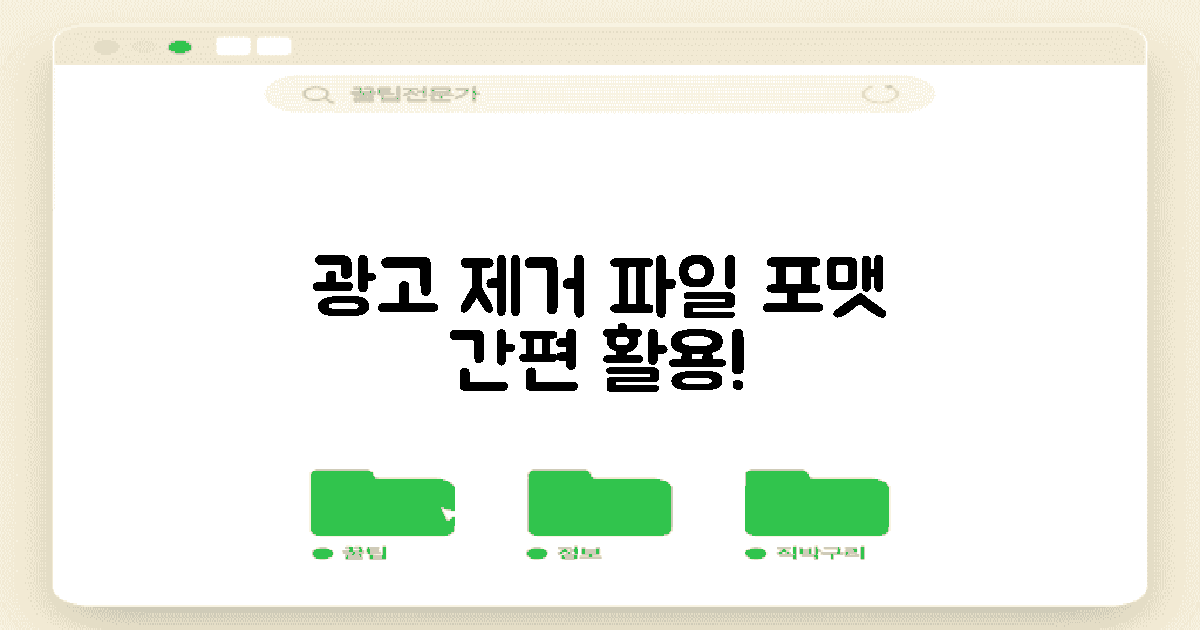 파일 포맷과 광고 제거