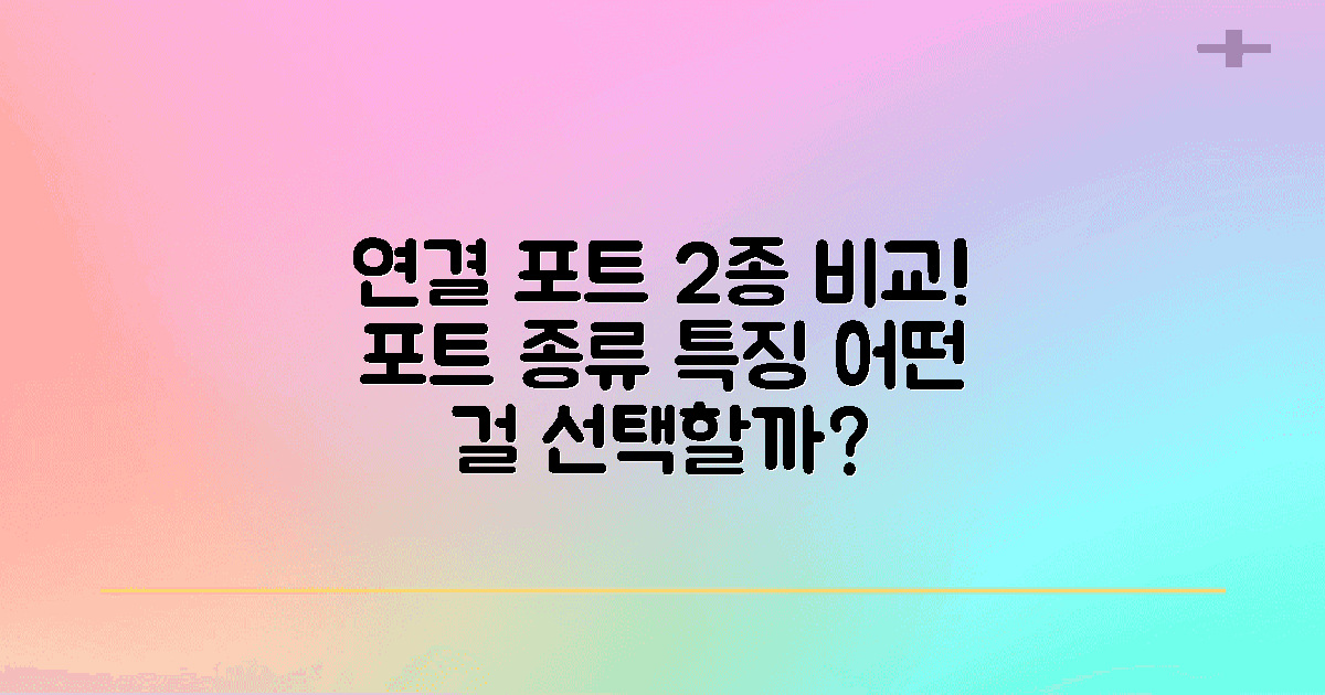 2가지 연결 포트 비교