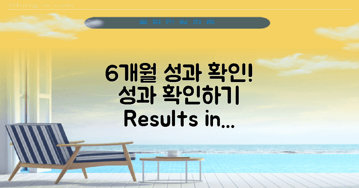 6개월 내 성과 확인하기