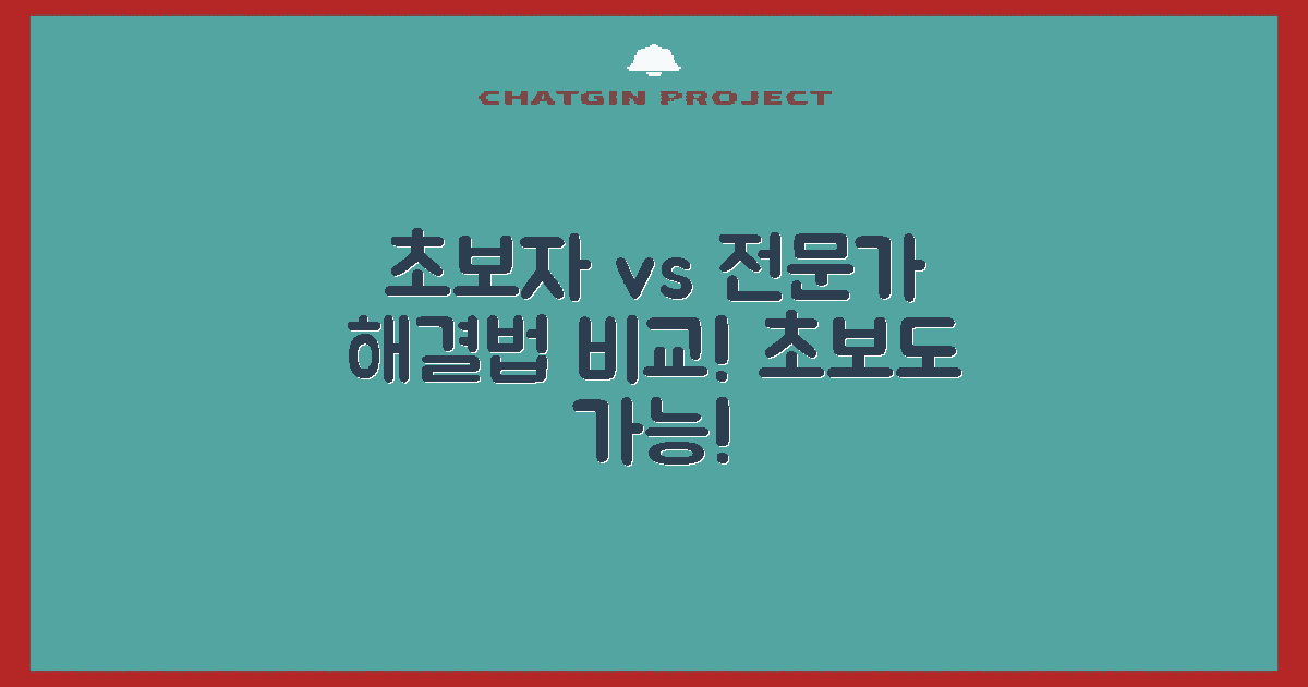 초보자 vs 전문가 해결법