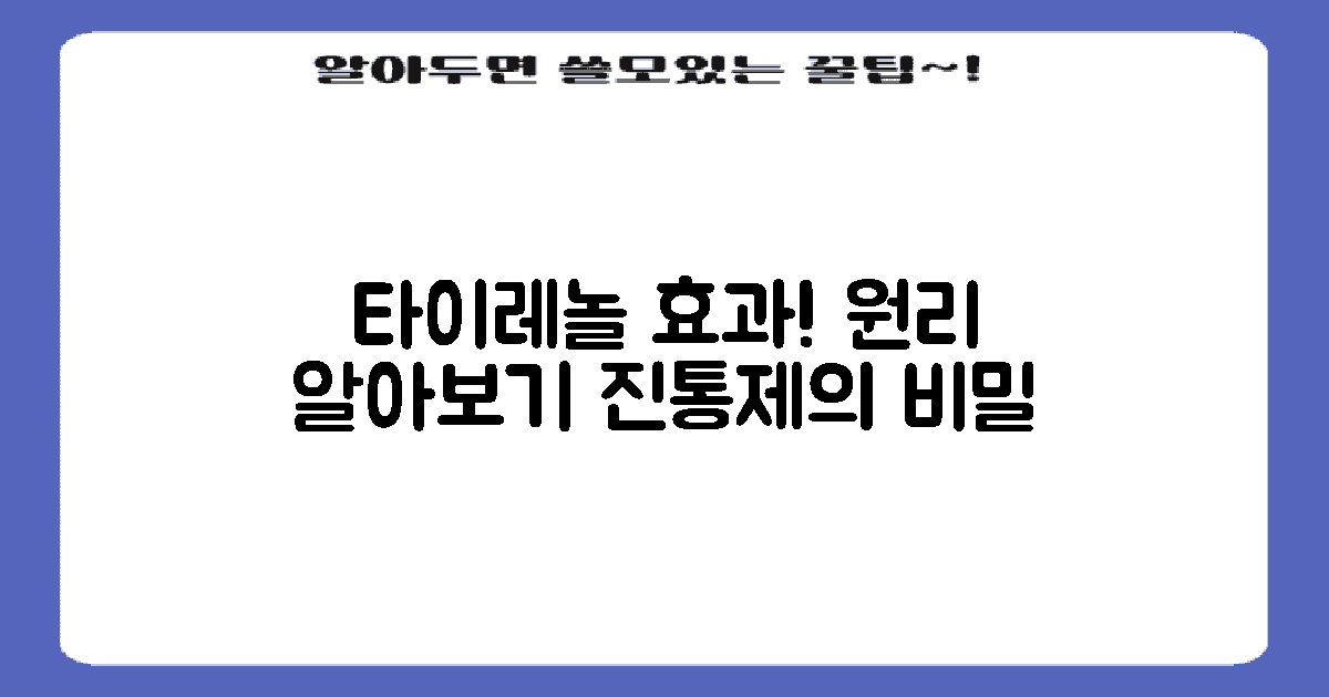 타이레놀의 효과와 원리