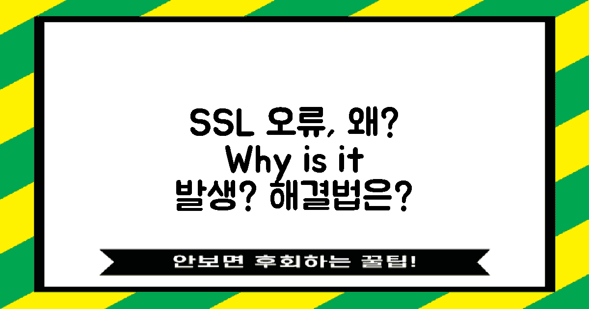 SSL 오류, 왜 발생할까?