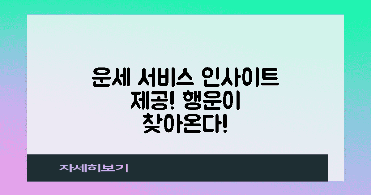 운세 서비스 개요