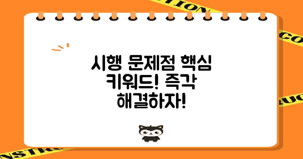 시행상의 문제점