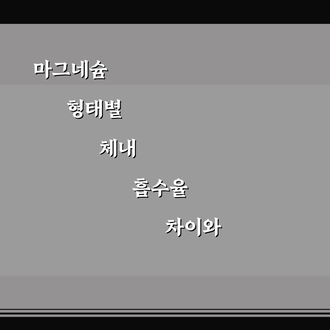 마그네슘 형태별 체내 흡수율 차이와 섭취 꿀팁 정리