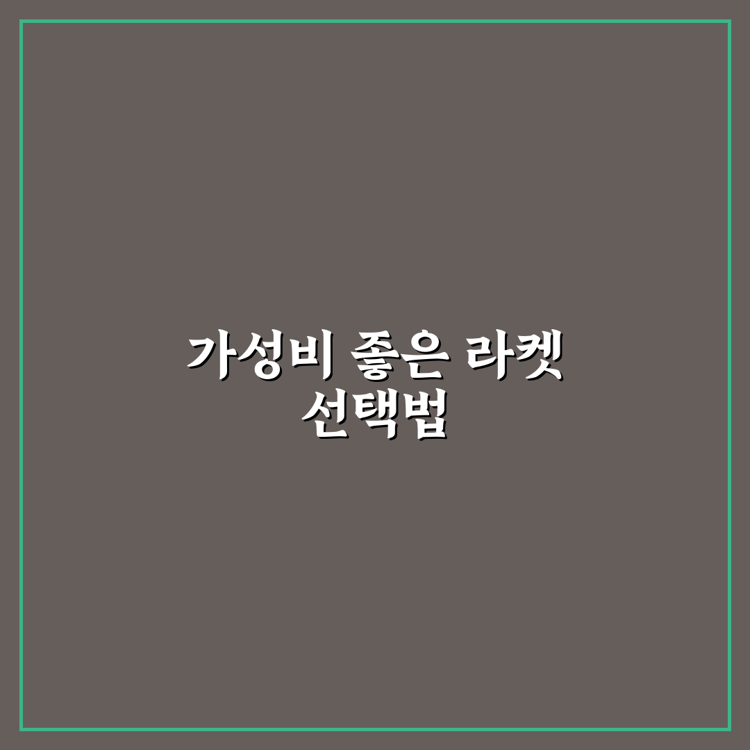가성비 테니스 라켓 입문용 추천 5가지 기준별 비교 분석